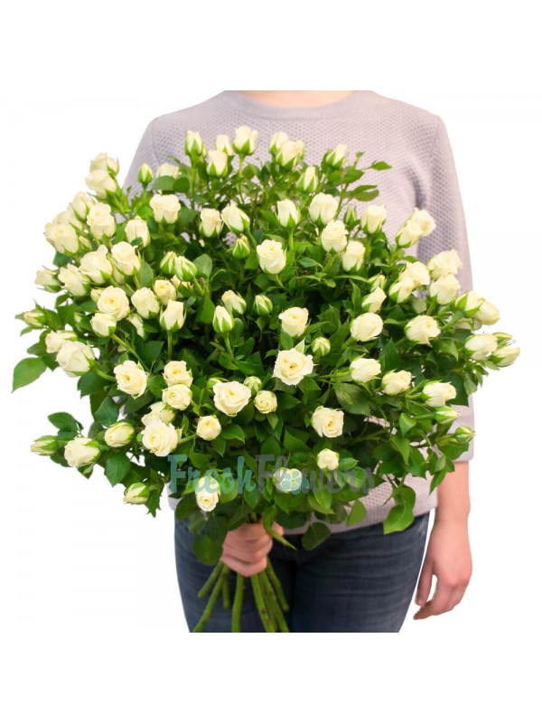 Сноуфлейк 15 кущових троянд